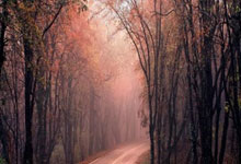 贵州恒丰对决大阪钢巴，赛场之上谁能称王？