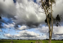 西班牙篮球联赛：皇家马德里连胜十场