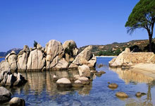 澳大利亚射击队表现抢眼，夺得铜牌