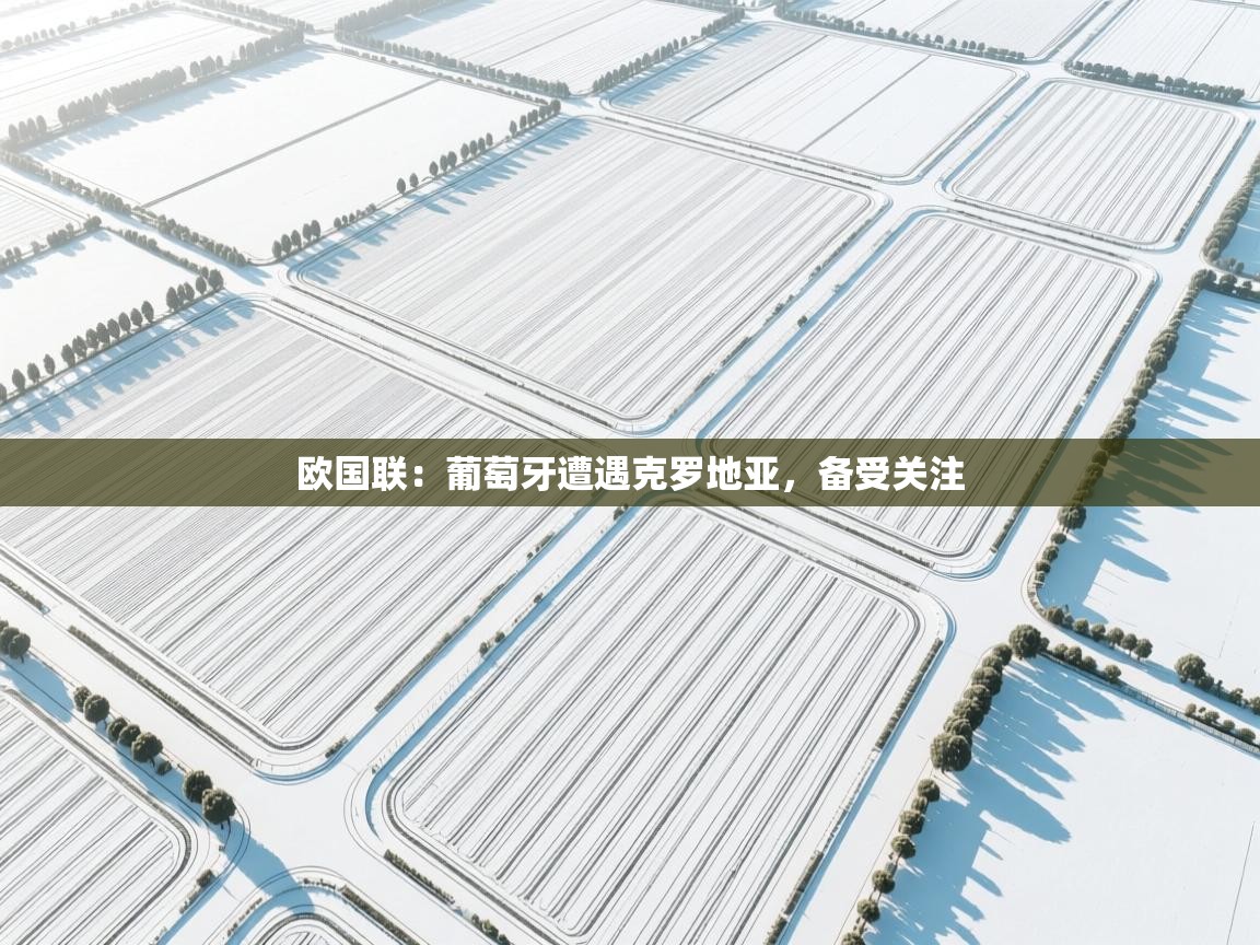 欧国联：葡萄牙遭遇克罗地亚，备受关注  第1张