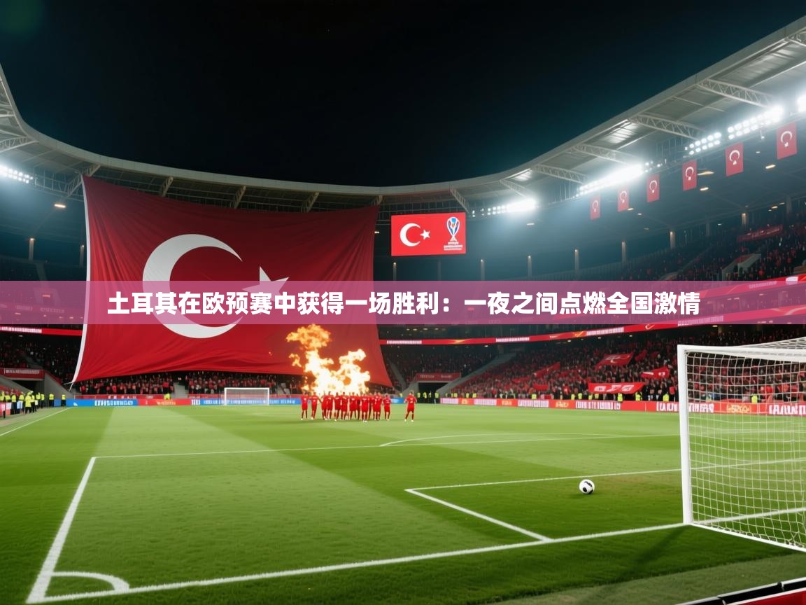土耳其在欧预赛中获得一场胜利：一夜之间点燃全国激情  第1张
