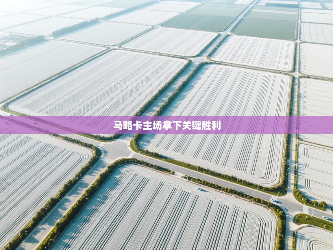 马略卡主场拿下关键胜利 第2张