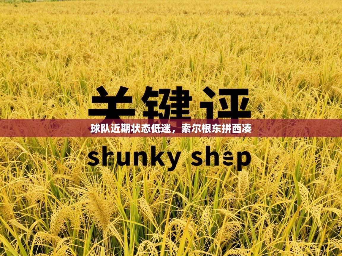 球队近期状态低迷，索尔根东拼西凑  第1张